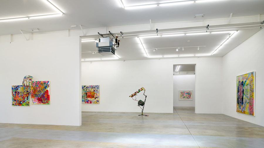 Exhibition-view-Nancy-Graves-Wandhaff-Juin-2022#15