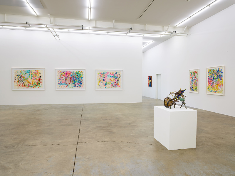 Exhibition-view-Nancy-Graves-Wandhaff-Juin-2022#18