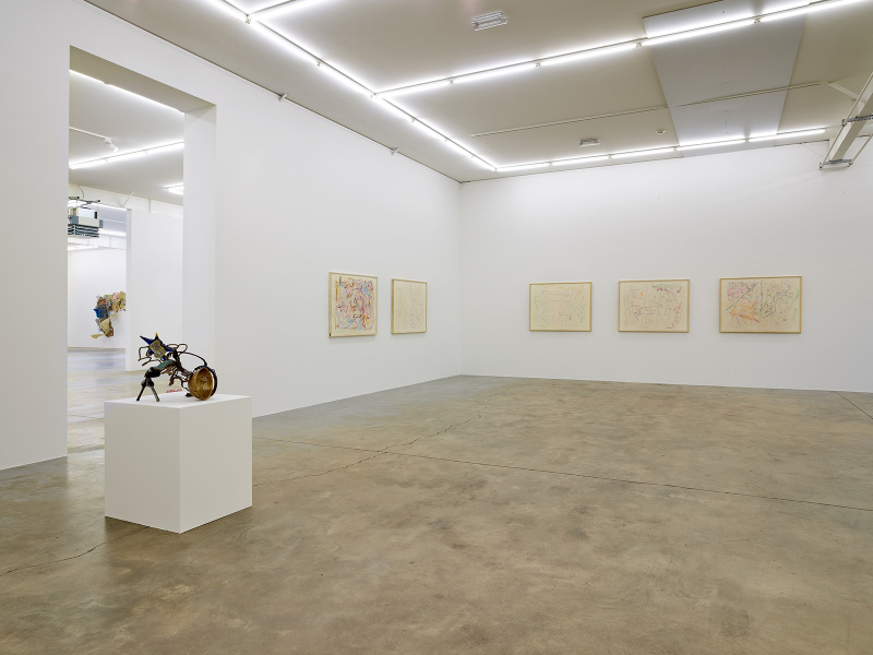 Exhibition-view-Nancy-Graves-Wandhaff-Juin-2022#19