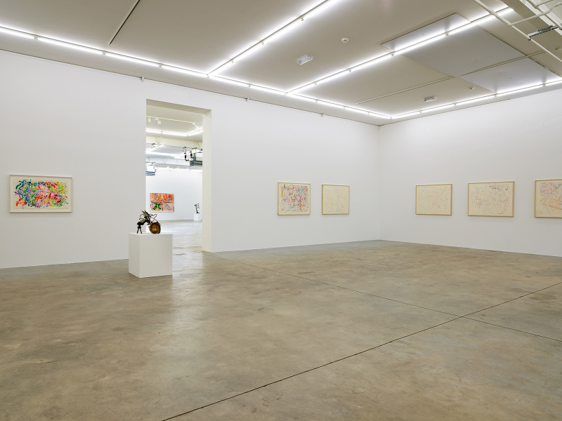 Exhibition-view-Nancy-Graves-Wandhaff-Juin-2022#20