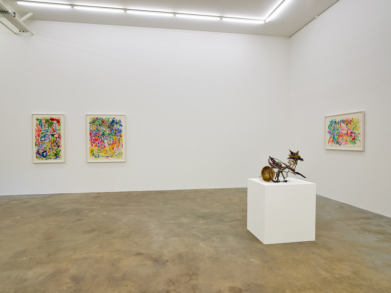 Exhibition-view-Nancy-Graves-Wandhaff-Juin-2022#21