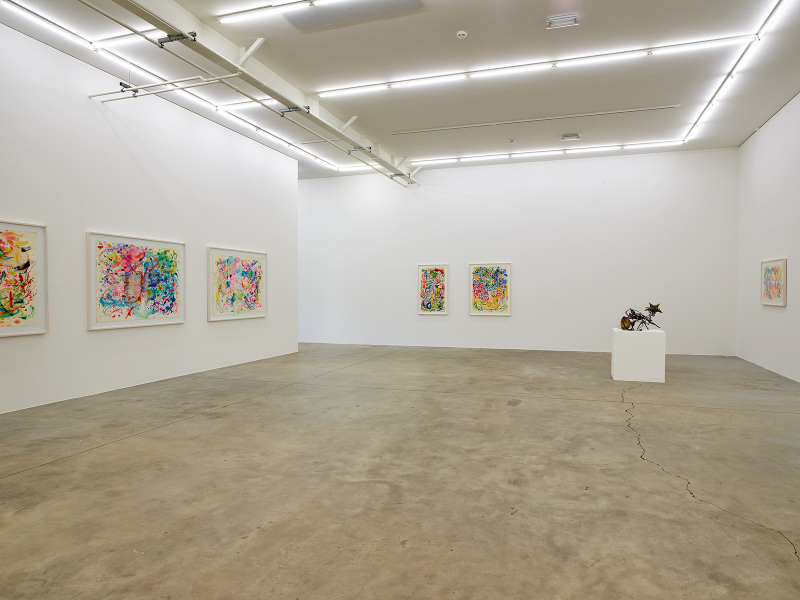 Exhibition-view-Nancy-Graves-Wandhaff-Juin-2022#22