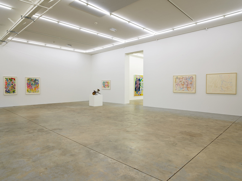 Exhibition-view-Nancy-Graves-Wandhaff-Juin-2022#23