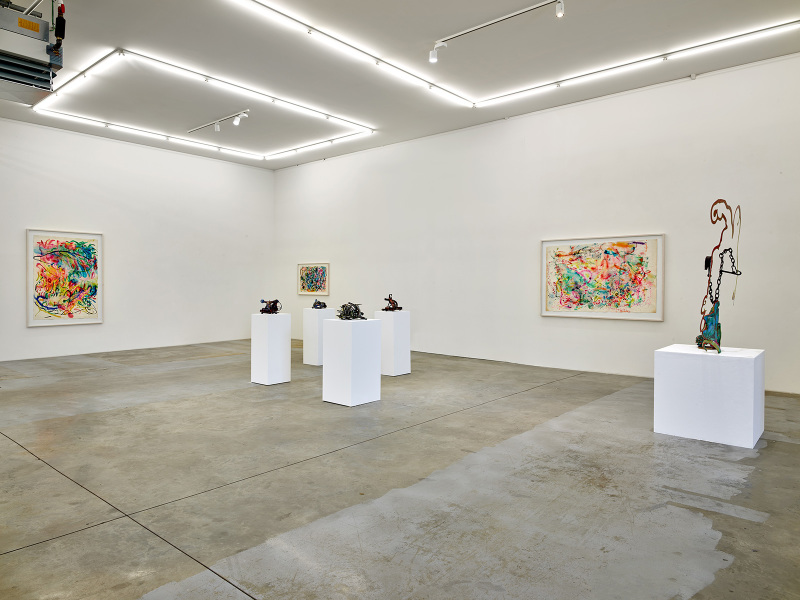 Exhibition-view-Nancy-Graves-Wandhaff-Juin-2022#2