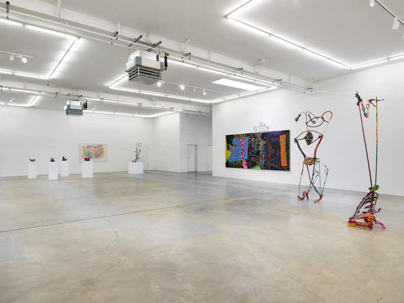 Exhibition-view-Nancy-Graves-Wandhaff-Juin-2022#5