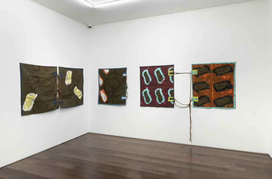 Exhibition-View-Claude-Viallat-2022-Ceysson&Bénétière-New-York-©AdamReich (1)