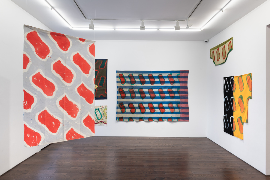 Exhibition-View-Claude-Viallat-2022-Ceysson&Bénétière-New-York-©AdamReich (8)