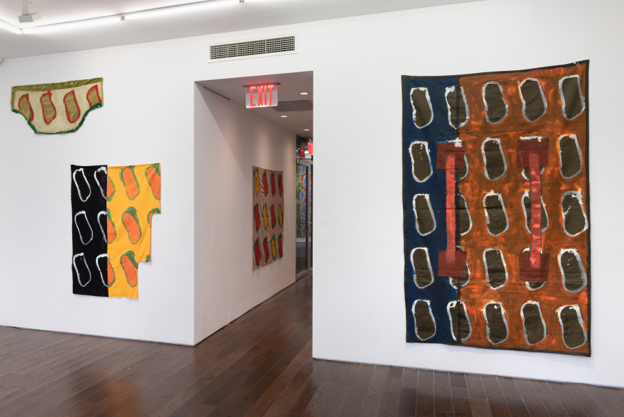 Exhibition-View-Claude-Viallat-2022-Ceysson&Bénétière-New-York-©AdamReich (11)