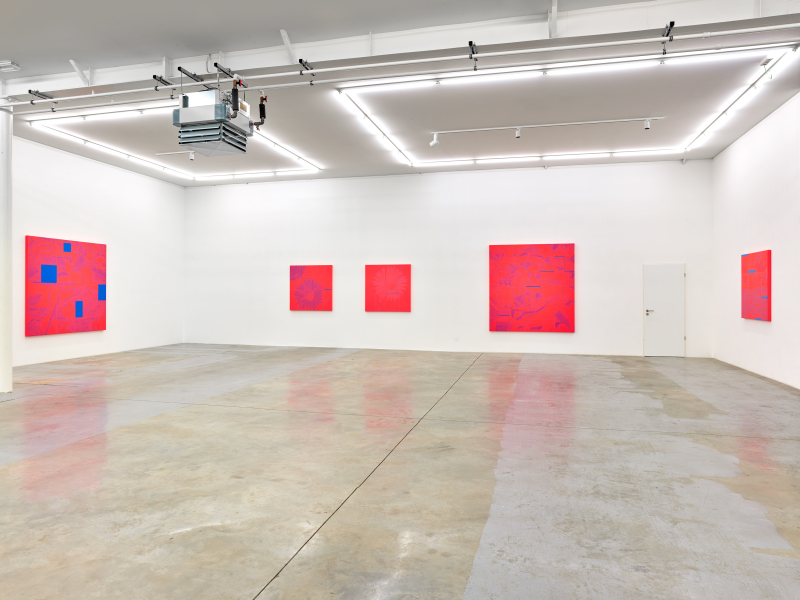 Vue-d’exposition-Yves-Zurstrassen-Ten-Years-Wandhaff-2022-#22