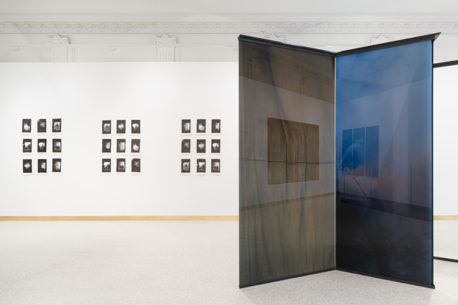 Aurélie Pétrel, vue d'exposition galerie, 2022