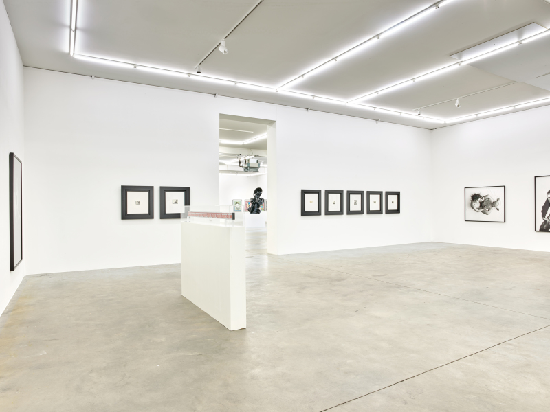 Exhibition-view-ORLAN-Ceci-est-mon-corps-Ceci-est-mon-logiciel-Wandhaff-mars-2023©StudioRémiVillaggi-Courtesy-C&B#1