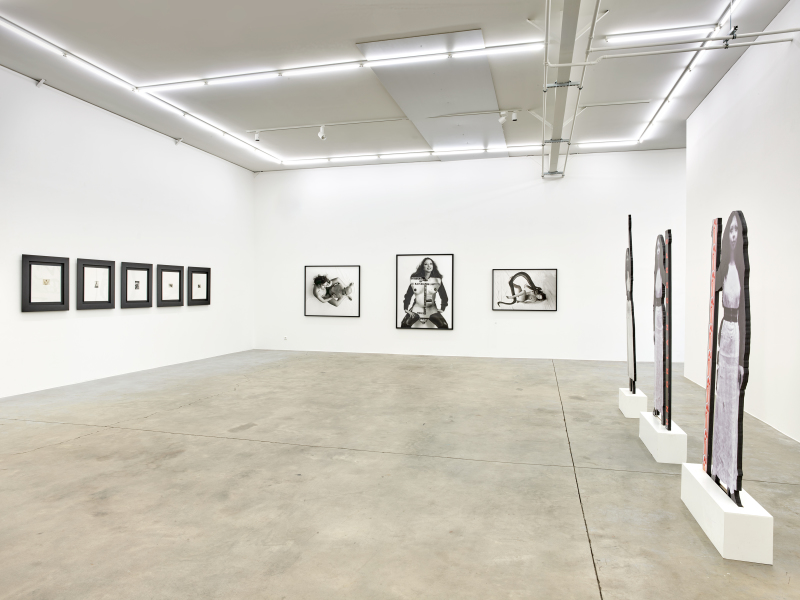 Exhibition-view-ORLAN-Ceci-est-mon-corps-Ceci-est-mon-logiciel-Wandhaff-mars-2023©StudioRémiVillaggi-Courtesy-C&B#2