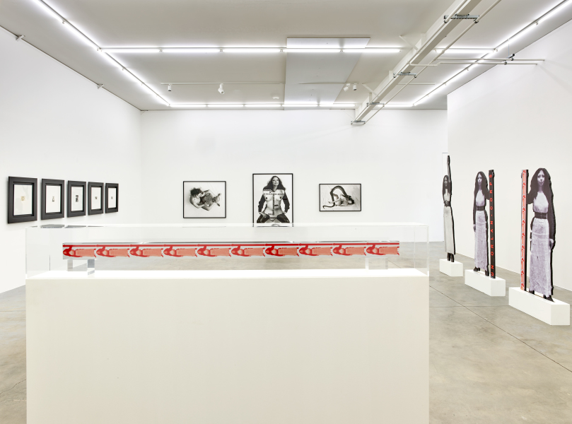 Exhibition-view-ORLAN-Ceci-est-mon-corps-Ceci-est-mon-logiciel-Wandhaff-mars-2023©StudioRémiVillaggi-Courtesy-C&B#3