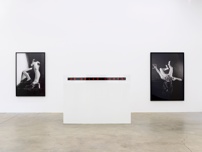 Exhibition-view-ORLAN-Ceci-est-mon-corps-Ceci-est-mon-logiciel-Wandhaff-mars-2023©StudioRémiVillaggi-Courtesy-C&B#5