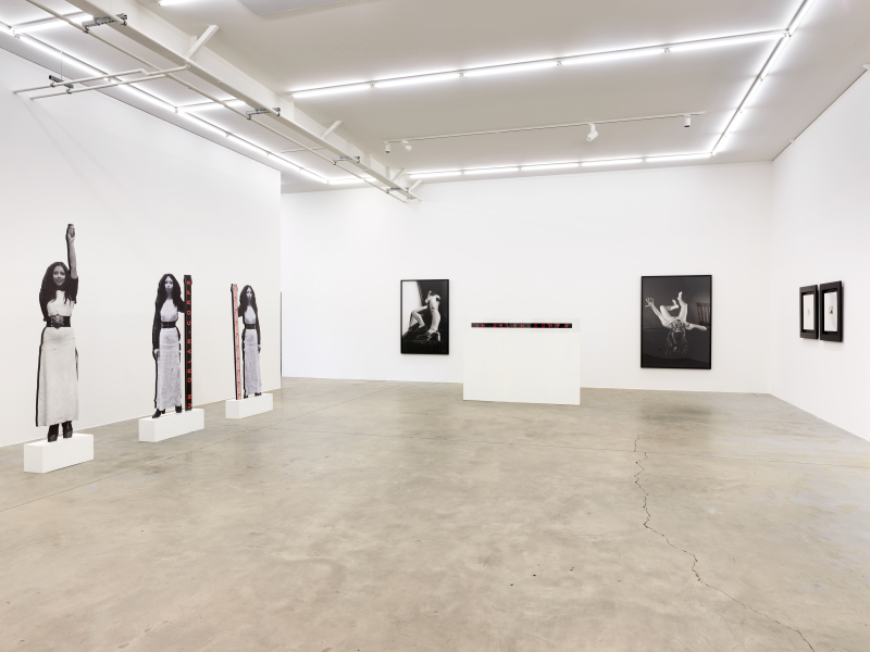 Exhibition-view-ORLAN-Ceci-est-mon-corps-Ceci-est-mon-logiciel-Wandhaff-mars-2023©StudioRémiVillaggi-Courtesy-C&B#6