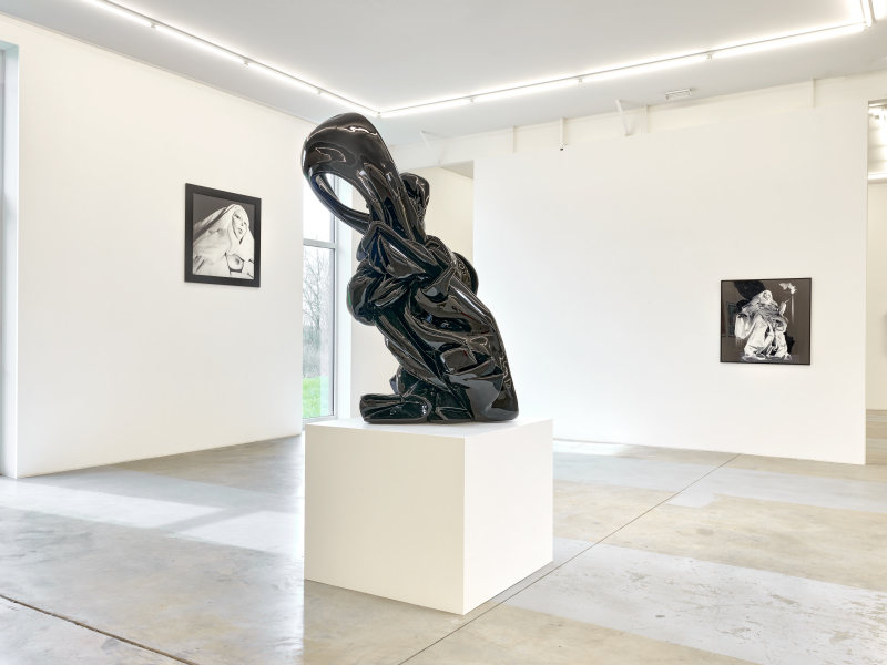 Exhibition-view-ORLAN-Ceci-est-mon-corps-Ceci-est-mon-logiciel-Wandhaff-mars-2023©StudioRémiVillaggi-Courtesy-C&B#18