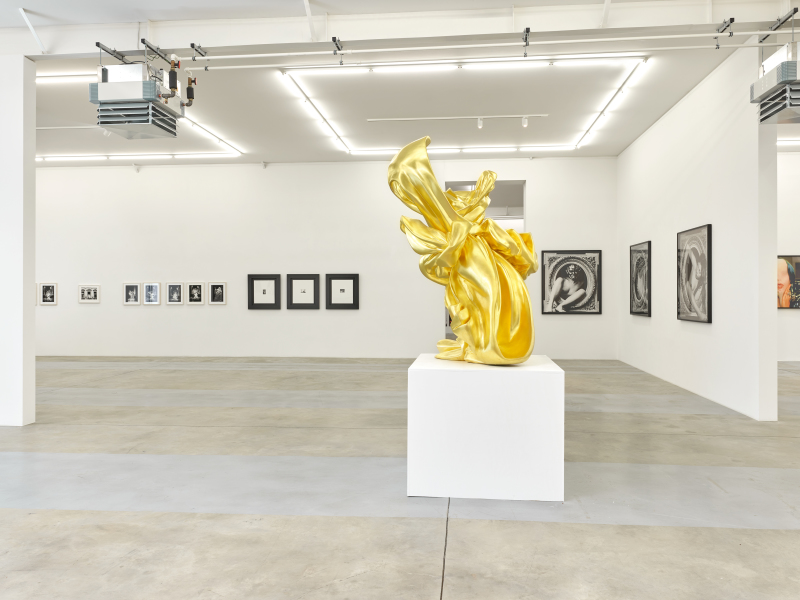 Exhibition-view-ORLAN-Ceci-est-mon-corps-Ceci-est-mon-logiciel-Wandhaff-mars-2023©StudioRémiVillaggi-Courtesy-C&B#19