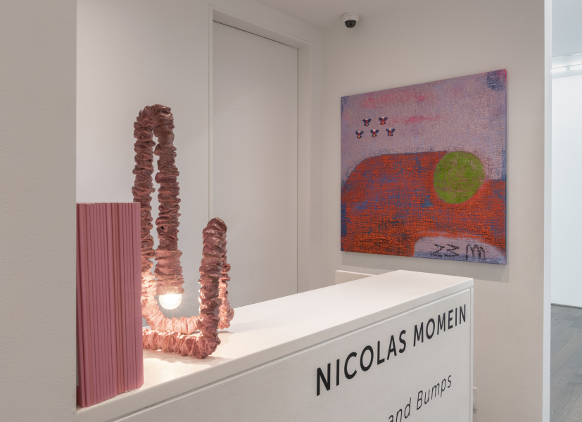 Exhibition View Nicolas Momein Clumps and Bumps New York 2023 (4)