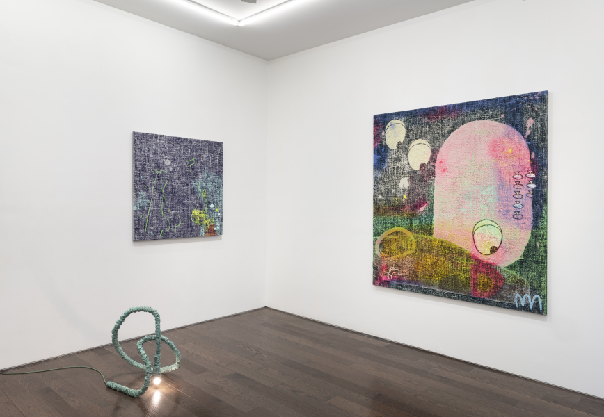 Exhibition View Nicolas Momein Clumps and Bumps New York 2023 (6)