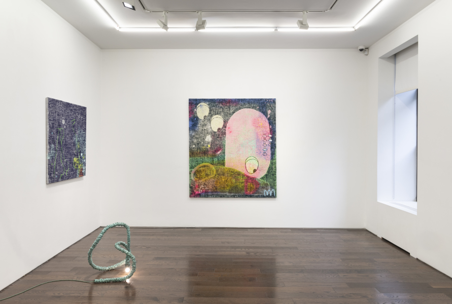 Exhibition View Nicolas Momein Clumps and Bumps New York 2023 (7)