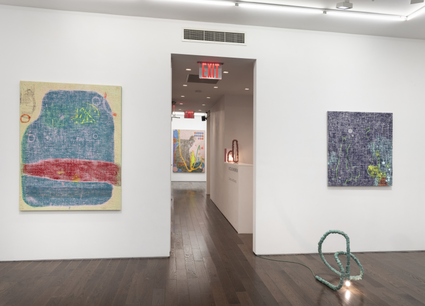 Exhibition View Nicolas Momein Clumps and Bumps New York 2023 (8)