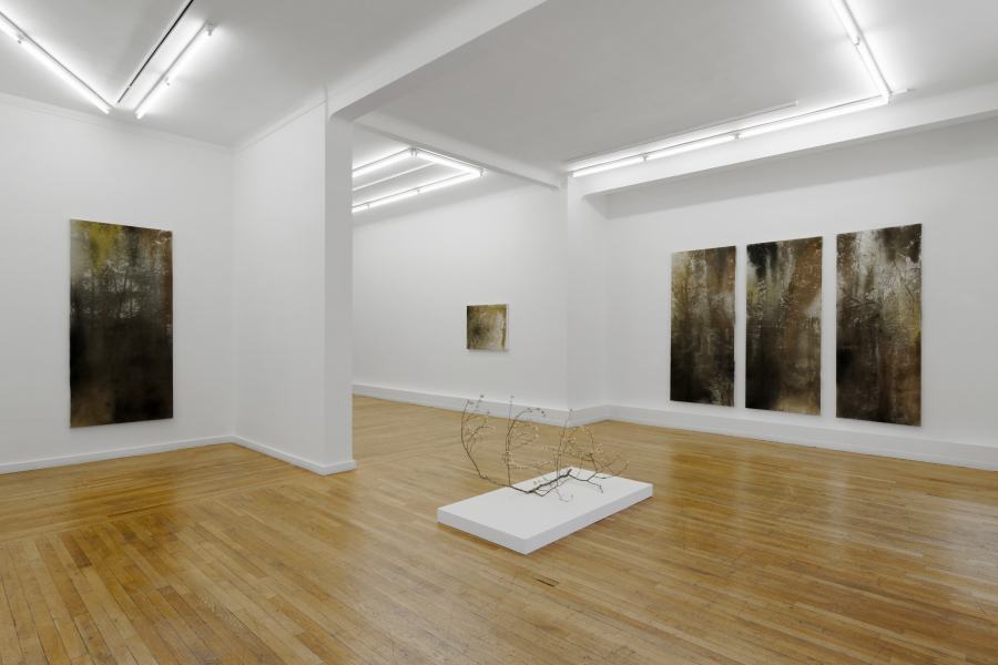 LS- Poussières des cimes - Courtesy C&B © Aurelien Mole.jpg