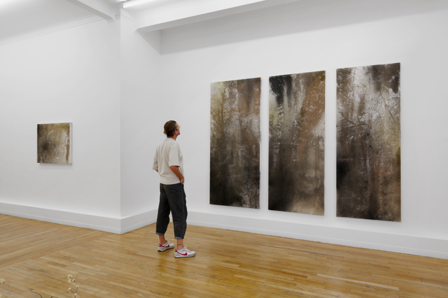 LS- Poussières des cimes - Courtesy C&B © Aurelien Mole