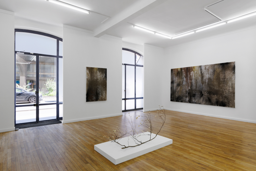 LS- Poussières des cimes - Courtesy C&B © Aurelien Mole