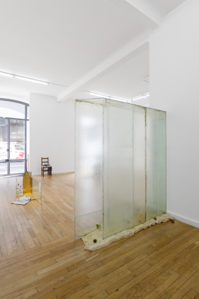 Wilfrid Almendra - Vues d'exposition