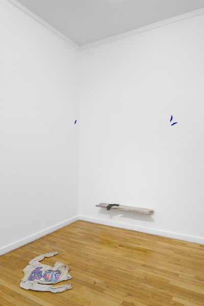 Wilfrid Almendra vues exposition