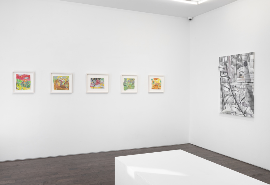 Installation-view-Adam-Himebauch-Never-Ever-Land-2024-Ceysson&Bénétière-New-York-©Adam-Reich-courtesyC&B(13)