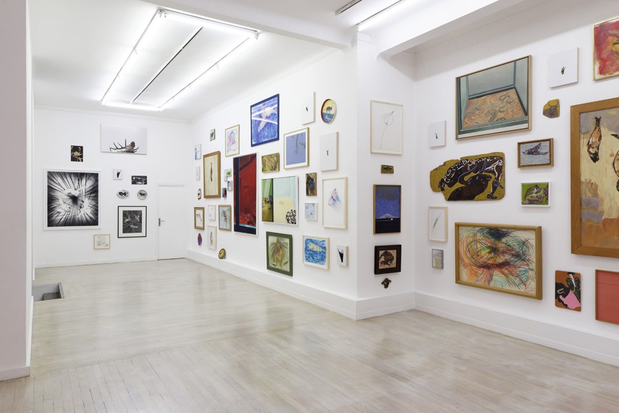 2_Animaux 2016 StEtienne 1038