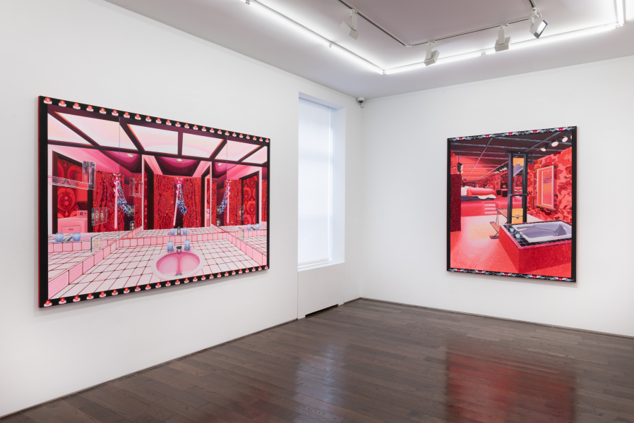 Exhibition View Rachael Tarravechia Water on Velvet Ceysson & Bénétière New York 2024 (6)