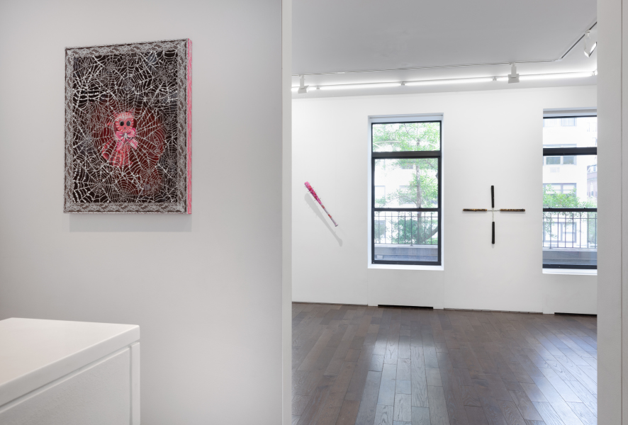 Exhibition View Rachael Tarravechia Water on Velvet Ceysson & Bénétière New York 2024 (10)