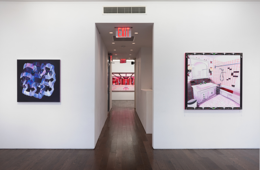 Exhibition View Rachael Tarravechia Water on Velvet Ceysson & Bénétière New York 2024 (20)