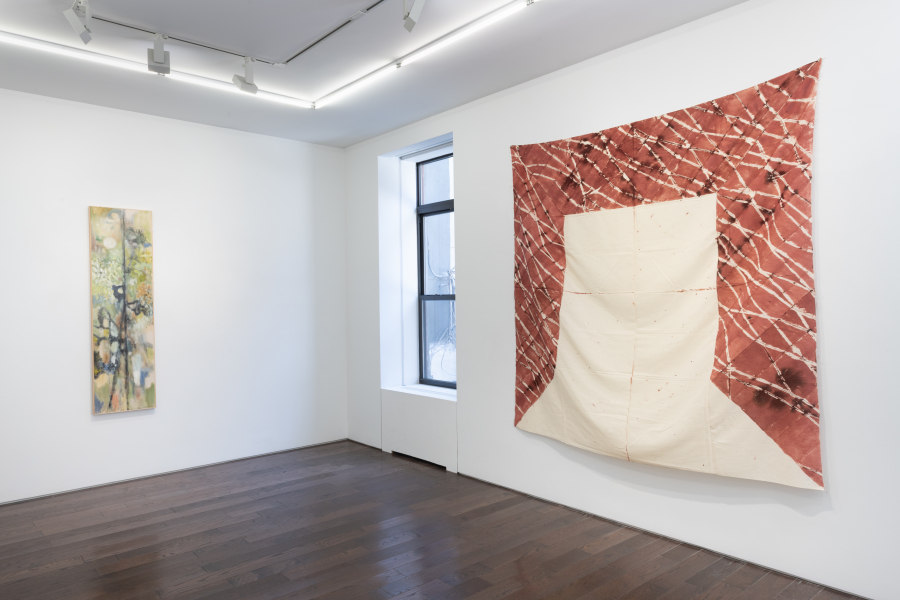 Exhibition-view-Ted-Gahl-André-Pierre-Arnal-2024-New-York-©Adam-Reich-courtesy-Ceysson&Bénétière(3)