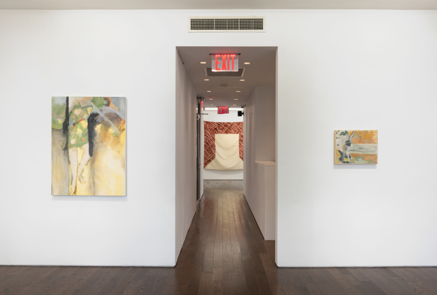 Exhibition-view-Ted-Gahl-André-Pierre-Arnal-2024-New-York-©Adam-Reich-courtesy-Ceysson&Bénétière(18)