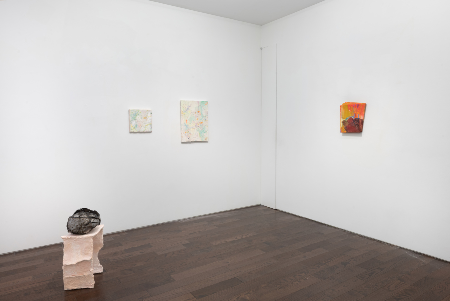 Exhibition-view-Clairvoyant-curated-by-Anna-Mikaela-Ekstrand-Ceysson&Bénétière-New-York-2024-©Adam-Reich-courtesy-C&B(7)