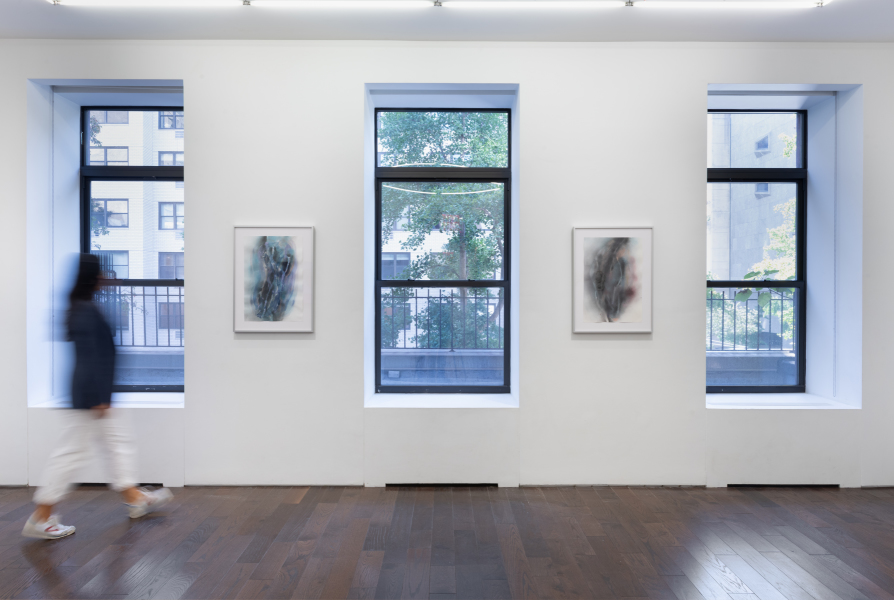 Exhibition-view-Clairvoyant-curated-by-Anna-Mikaela-Ekstrand-Ceysson&Bénétière-New-York-2024-©Adam-Reich-courtesy-C&B(14)