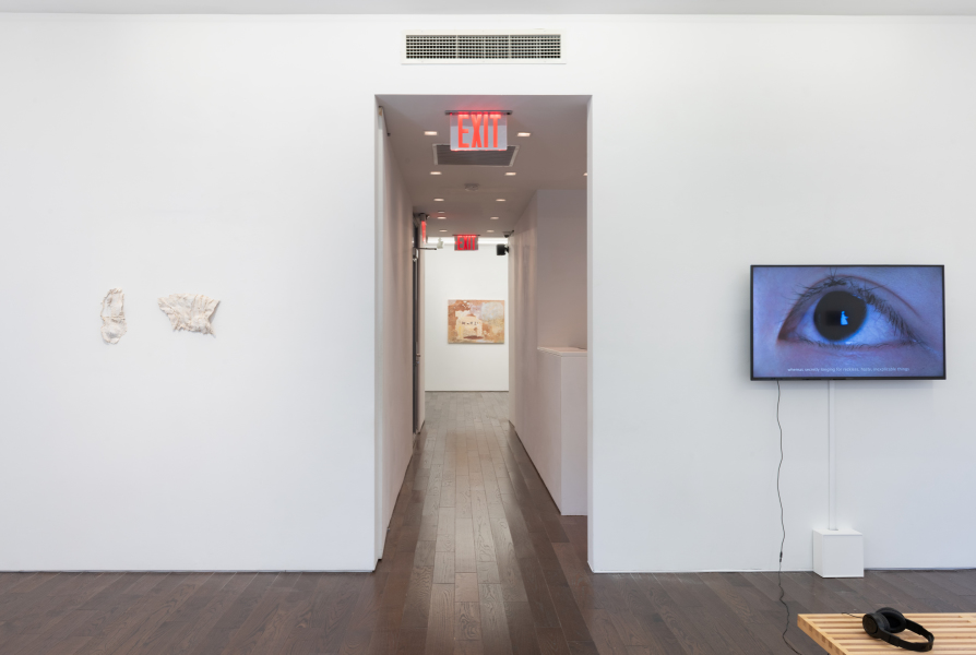 Exhibition-view-Clairvoyant-curated-by-Anna-Mikaela-Ekstrand-Ceysson&Bénétière-New-York-2024-©Adam-Reich-courtesy-C&B(17)