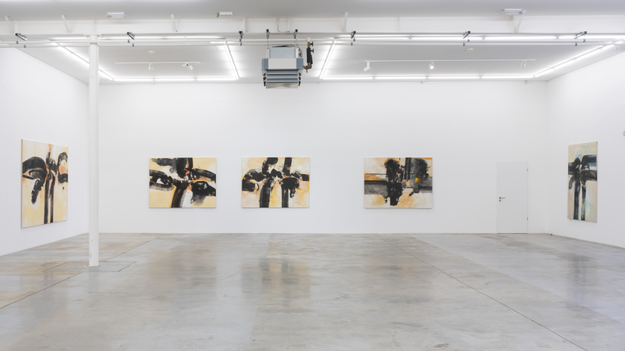 Robert-Brandy-Vue-d'exposition-Open-Landscape-2024-Wandhaff-Luxembourg ©SamanthaWilvert-CourtesyC&B