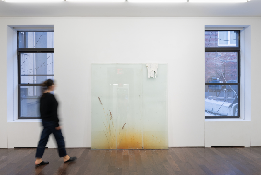 Installation-view-Wilfrid-Almendra-Lilac-dust-and-poppy-Ceysson&Bénétière-New-York-2024-©Adam-Reich-courtesy-C&B(3)