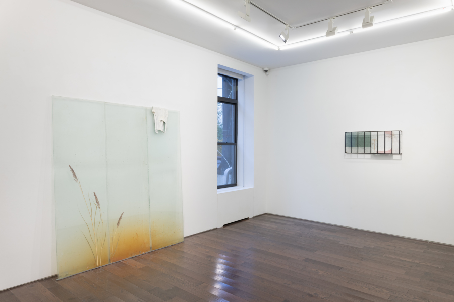 Installation-view-Wilfrid-Almendra-Lilac-dust-and-poppy-Ceysson&Bénétière-New-York-2024-©Adam-Reich-courtesy-C&B(4)