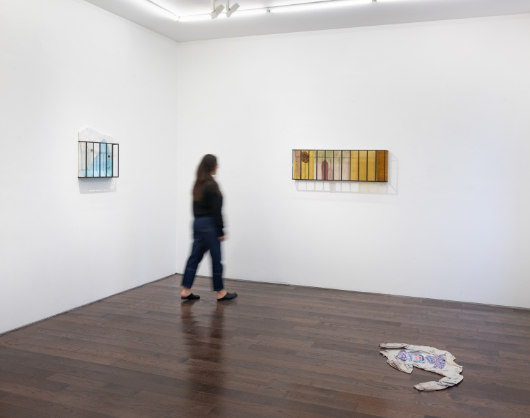 Installation-view-Wilfrid-Almendra-Lilac-dust-and-poppy-Ceysson&Bénétière-New-York-2024-©Adam-Reich-courtesy-C&B(7)