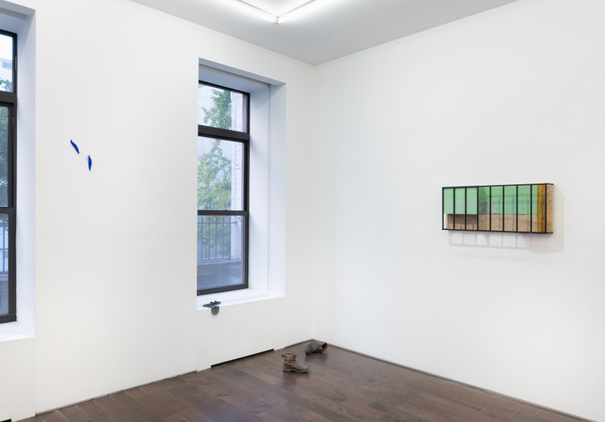 Installation-view-Wilfrid-Almendra-Lilac-dust-and-poppy-Ceysson&Bénétière-New-York-2024-©Adam-Reich-courtesy-C&B(8)