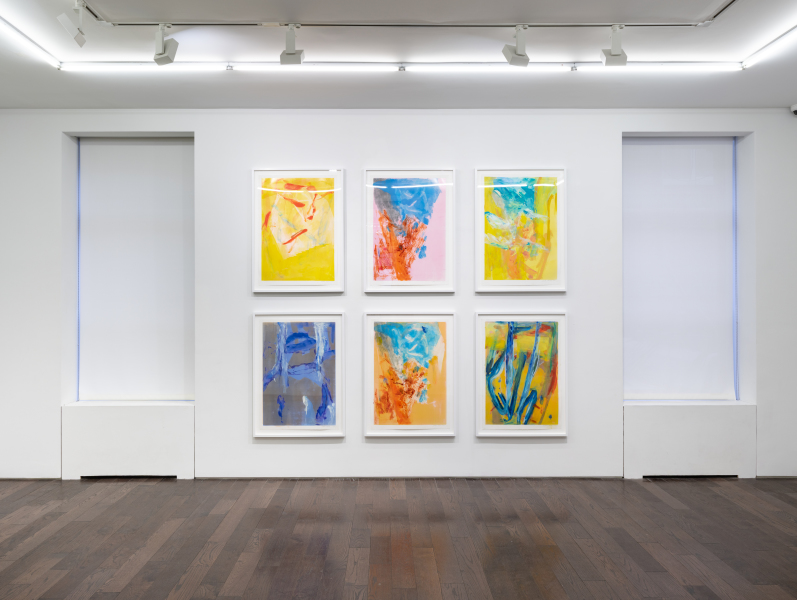 Exhibition-view-Wallace-Whitney-The-Rich-Hour-2025-Ceysson&Bénétière-New-York-©Adam-Reich-courtesy-C&B(2)