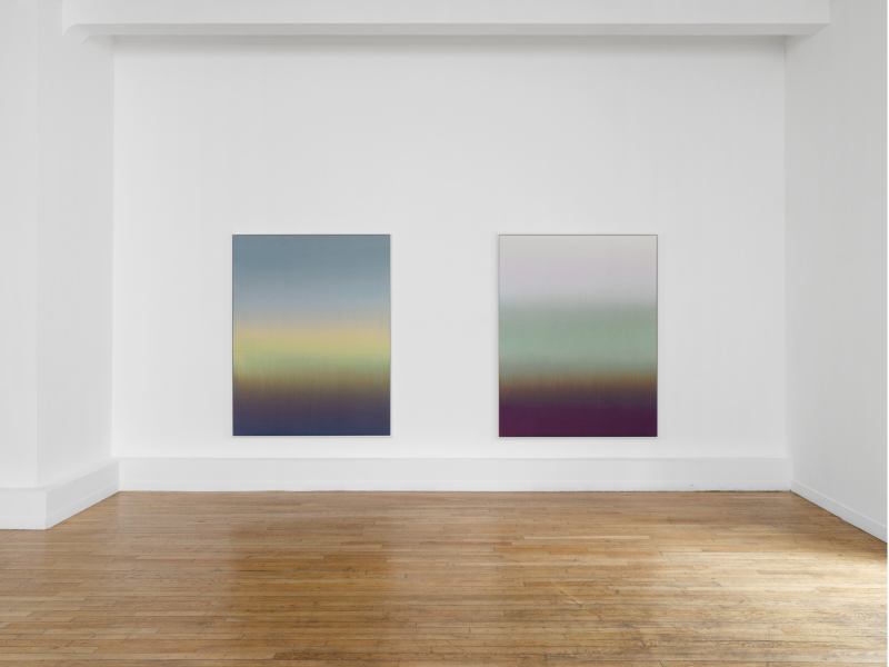 Vue de l'exposition Claire Chesnier