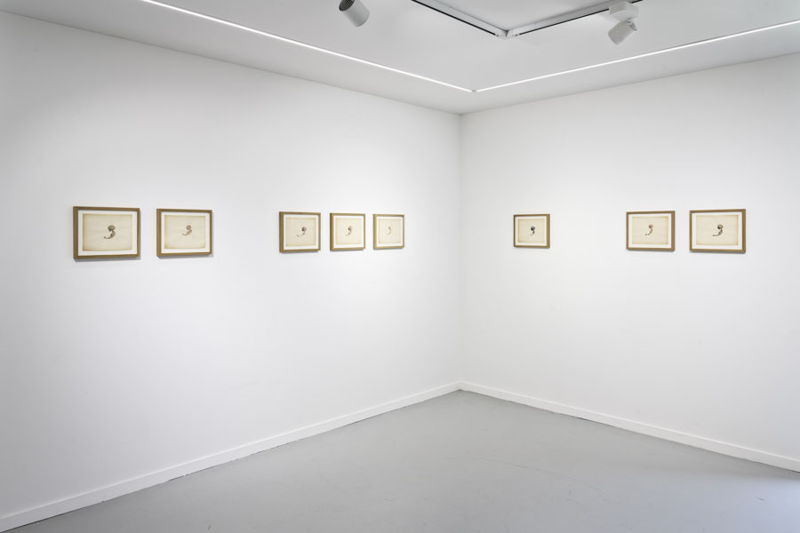 La Diorite - Philippe Favier - STE - 2025