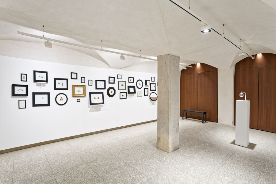 Philippe Favier Lyon, Andormi exhibition