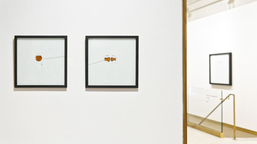 Philippe Favier Lyon, Andormi exhibition